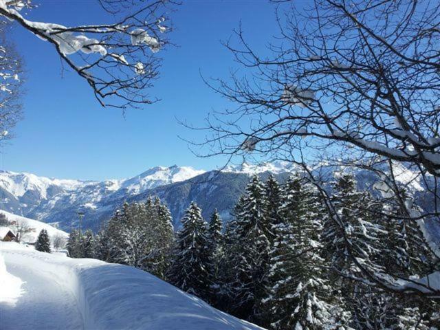 ホテルChalet Bergheimet ブラウンヴァルト エクステリア 写真